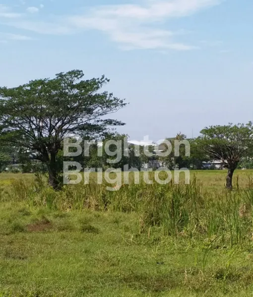 image TANAH CIAMIK STRATEGIS HANYA 1 KM DARI EXIT TOL ARTERI GEMPOL (2)