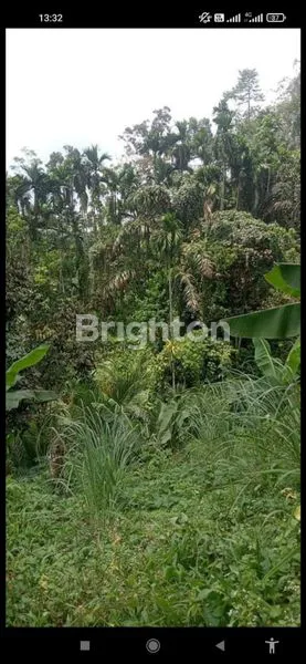 image TANAH PINGGIR JALAN  2HA PANCUR BATU (2)