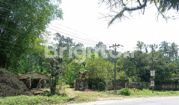 image TANAH PINGGIR JALAN  2HA PANCUR BATU (6)