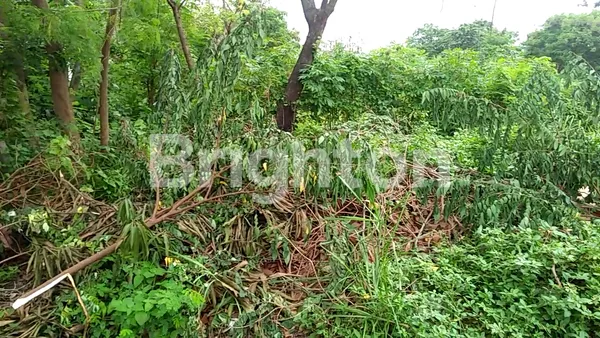 image **HOT LISTING**TANAH YANG KEDUA  CIBITUNG UNTUK DIBANGUN CLUSTER RUMAH (1)