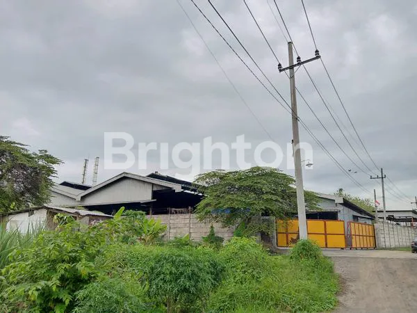 image PABRIK ARANG WRINGINANOM GRESIK (5)