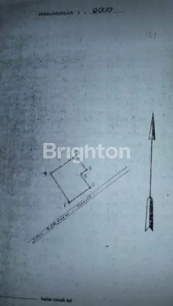 image TANAH LUAS PINGGIR JALAN UTAMA DI TERITIP (2)