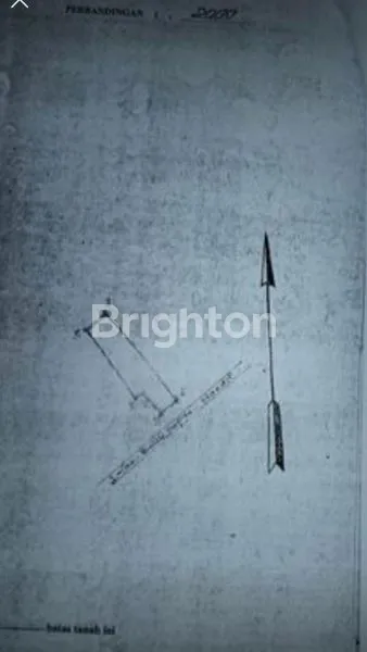 image TANAH LUAS PINGGIR JALAN UTAMA DI TERITIP (3)