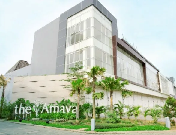 Image more THE AMAYA