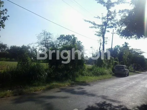 image DIJUAL TANAH DI JALAN RAYA PROBOLINGGO - BROMO (1)