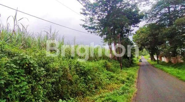 image TANAH DI DAU SUKUN (1)