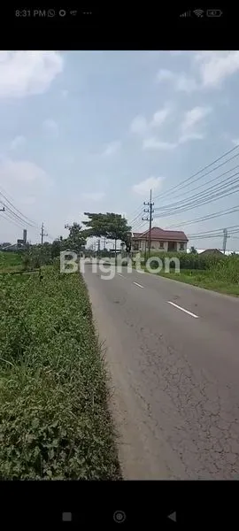image TANAH NOL JALAN RAYA MOJOAGUNG (2)
