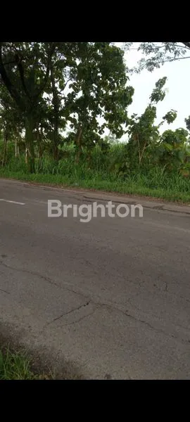 image TANAH NOL JALAN, ZONA KUNING, MOJOAGUNG JOMBANG (1)