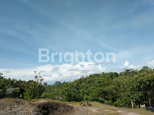 TANAH MURAH GUNUNG KIDUL DEPAN JALAN COCOK BUAT HUNIAN, RESTO, VILLA DAN INVESTASI