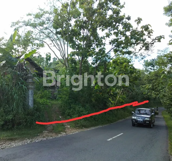 image TANAH MURAH GUNUNG KIDUL DEPAN JALAN COCOK BUAT HUNIAN, RESTO, VILLA DAN INVESTASI (4)