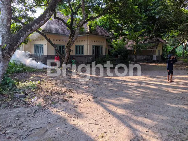 DIJUAL RUMAH DAN TANAH KEBUN DAN SAWAH DI KEDIRI