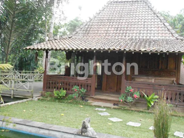 image LAND AND VILLA LOCATION IN UBUD NEARBY PADMA RESORT UBUD (3)