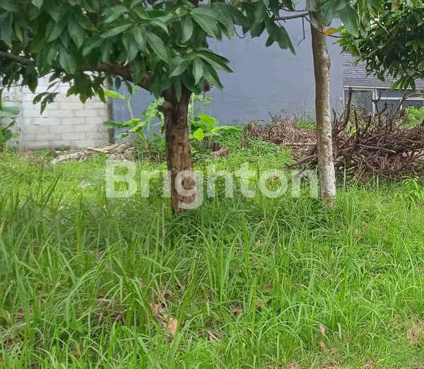 image TANAH KAVLING MURAH DI JOMBANG  CIPUTAT TANGERANG SELATAN (2)