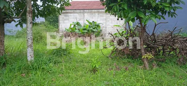 image TANAH KAVLING MURAH DI JOMBANG  CIPUTAT TANGERANG SELATAN (4)