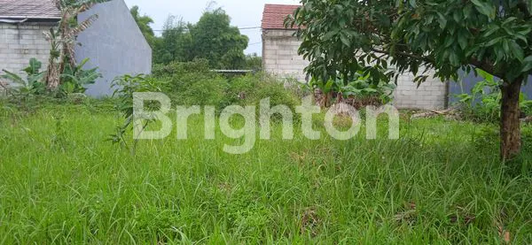 image TANAH KAVLING MURAH DI JOMBANG  CIPUTAT TANGERANG SELATAN (5)