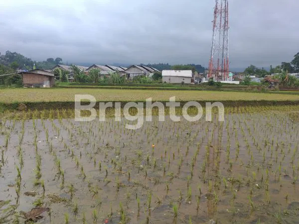 image TANAH LUAS DENGAN VIEW CANTIK CIWIDEY (4)