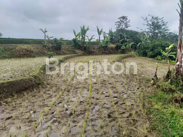 image TANAH LUAS DENGAN VIEW CANTIK CIWIDEY (5)