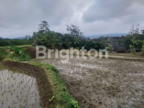 image TANAH LUAS DENGAN VIEW CANTIK CIWIDEY (3)