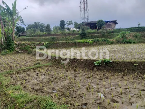 image TANAH LUAS VIEW CANTIK CIWIDEY (5)