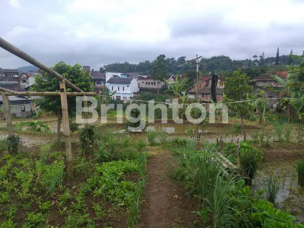 image TANAH LUAS VIEW CANTIK CIWIDEY (4)