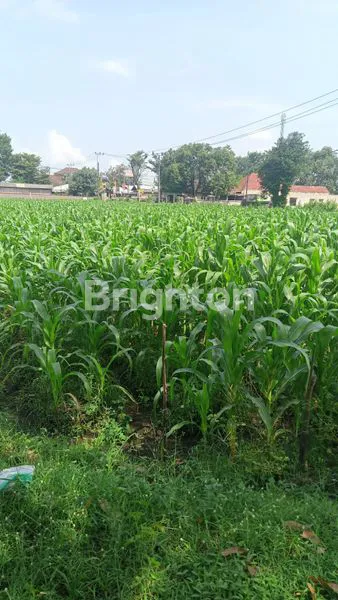 image TANAH LUAS DI KEDIRI (1)