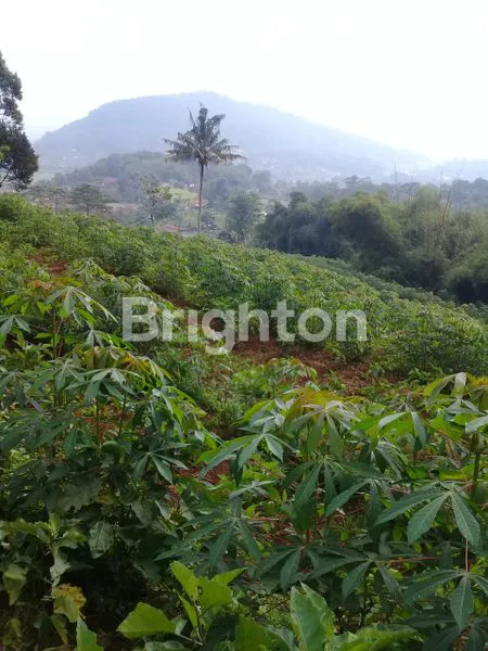 TANAH BUKIT DI SUMEDANG