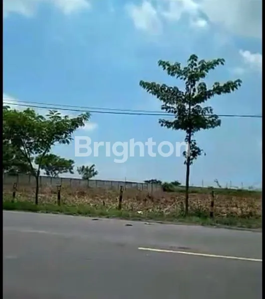 image TANAH DI WIDANG, LOKASI STRATEGIS MENUNGGU ANDA (1)