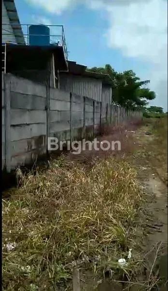 image TANAH DI WIDANG, LOKASI STRATEGIS MENUNGGU ANDA (2)