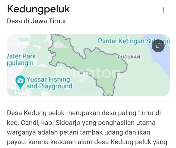 image TAMBAK MURAH (1)