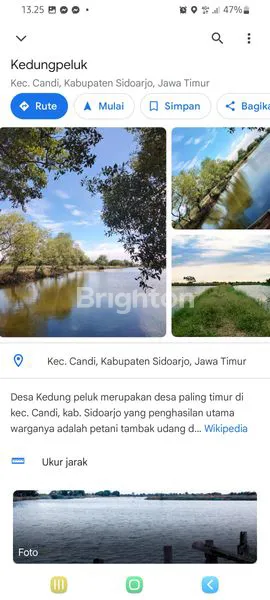 image TAMBAK MURAH (2)