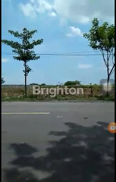 image LANGKA TANAH ZONA INDUSTRI LOKASI STRATEGIS DI JALAN TUBAN KECAMATAN WIDANG (1)