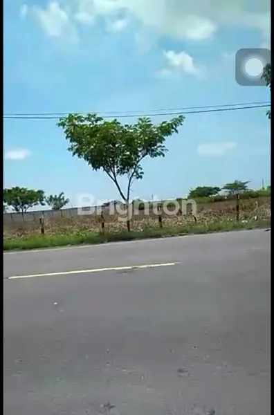 image LANGKA TANAH ZONA INDUSTRI LOKASI STRATEGIS DI JALAN TUBAN KECAMATAN WIDANG (4)