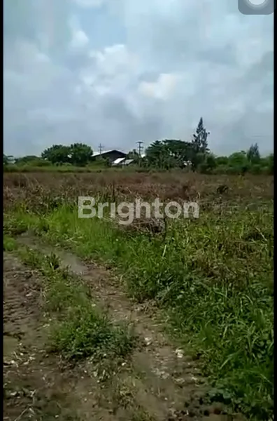 image LANGKA TANAH ZONA INDUSTRI LOKASI STRATEGIS DI JALAN TUBAN KECAMATAN WIDANG (5)