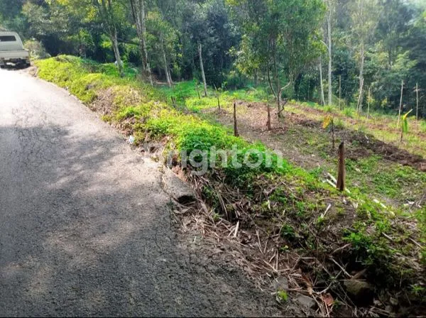 image TANAH DI PADALARANG (3)