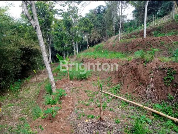 image TANAH DI PADALARANG (2)