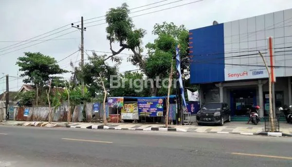 image TANAH SHM LUAS BOJONEGORO ASPAL (2)