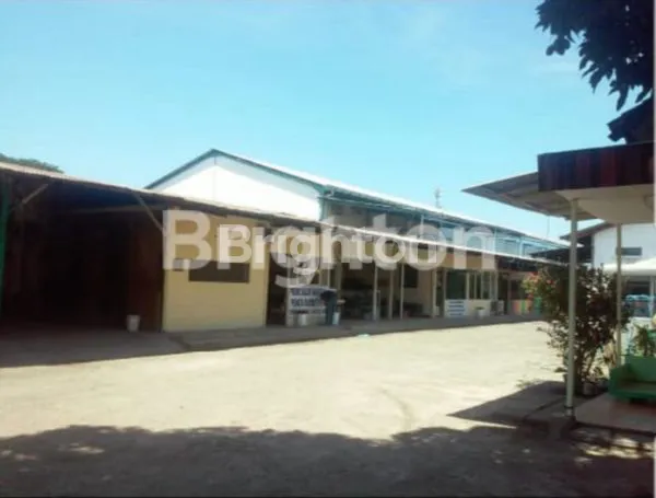 image JL SUMATRA, PASURUAN (5)