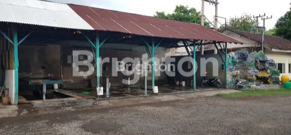 image JL SUMATRA, PASURUAN (4)