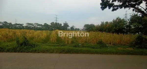 image TANAH DI DESA PABUARAN SUBANG JAWA BARAT (1)