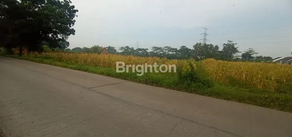 image TANAH DI DESA PABUARAN SUBANG JAWA BARAT (3)