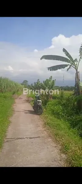 image TANAH PERKEBUNAN (1)