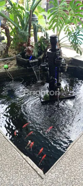 image RUMAH MEWAH DEKAT AKPOL (6)