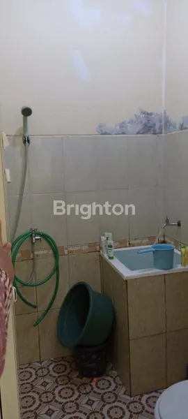 image MURAH SIAP HUNI BOJONG GEDE -BOGOR (4)