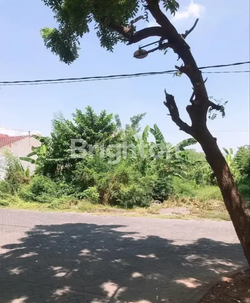 KAVLING TANAH SHM STRATEGIS GAYUNGSARI