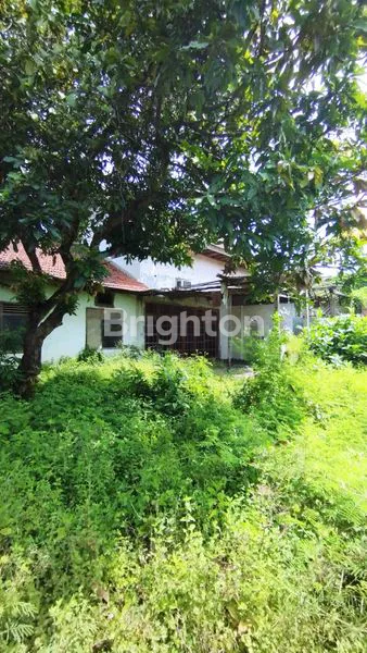 image RUMAH HITUNG TANAH 1808M2 DEKAT BANDARA KEDIRI (2)