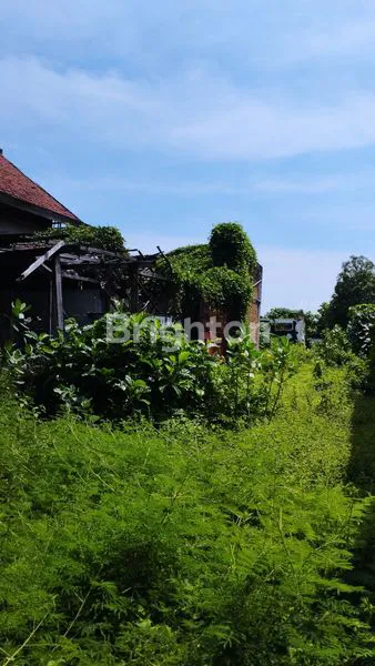 image RUMAH HITUNG TANAH 1808M2 DEKAT BANDARA KEDIRI (3)