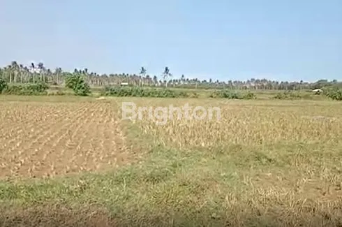 image TANAH LUAS COCOK UNTUK PERUMAHAN, DI RAYA PEKANBARU-BANGKINANG (2)