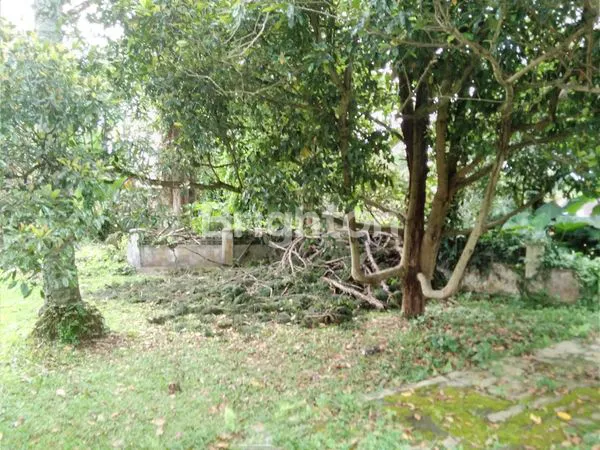 image TANAH DI MAINROAD SETIABUDI, JARANG ADA (2)