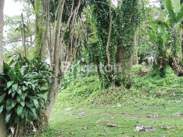 image TANAH DI MAINROAD SETIABUDI, JARANG ADA (3)