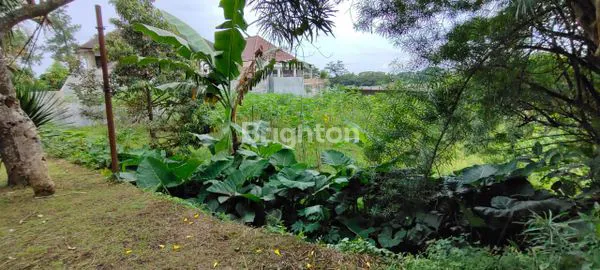 image TANAH MURAH POROS JALAN PUNCAK DIENG KOTA MALANG (2)